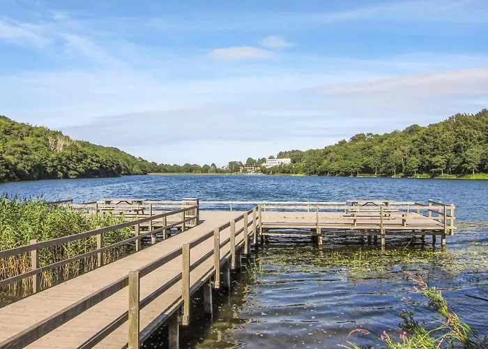 Apartment Stunning In With Wifi *